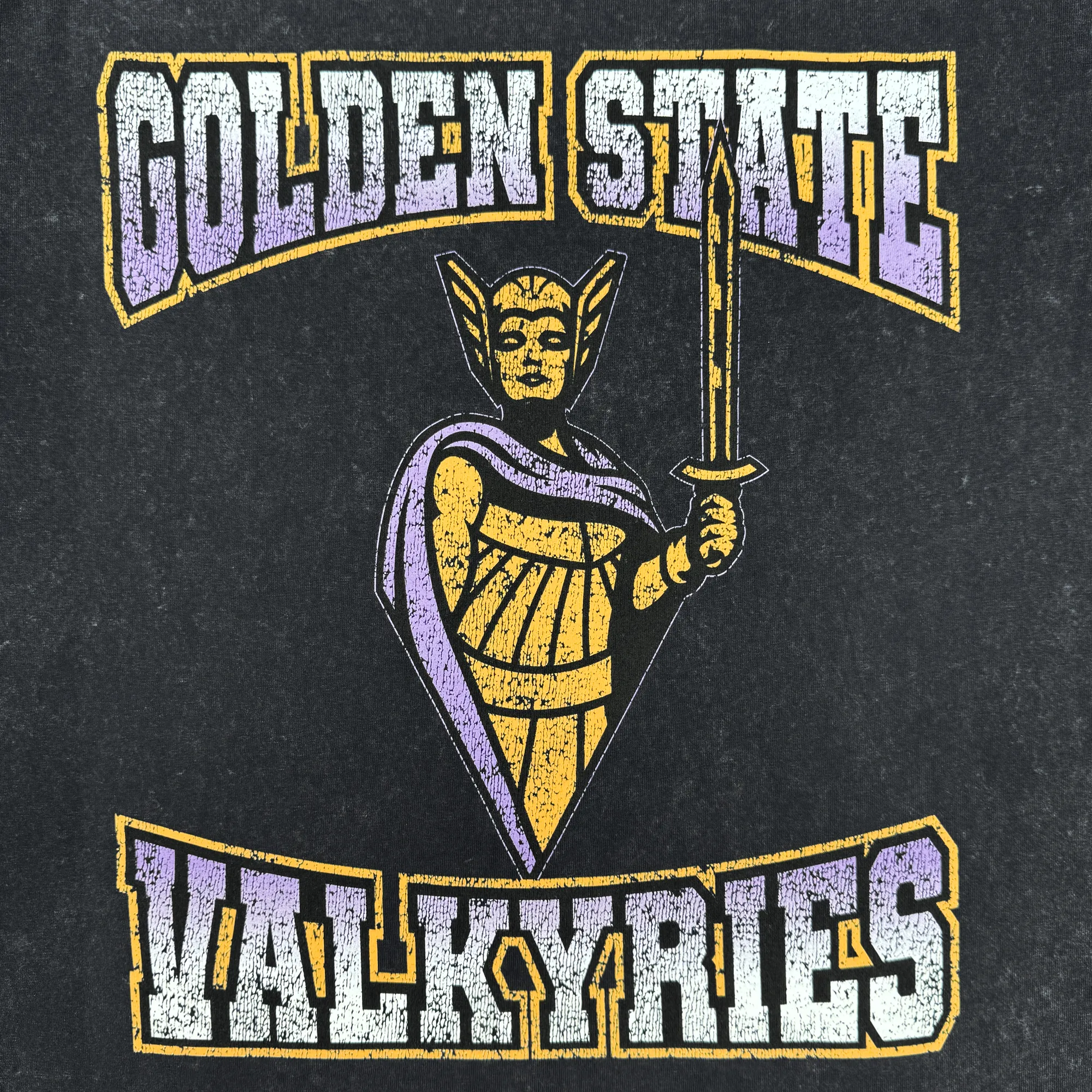 Golden State Valkyries Guardian Stone Wash Heavy Tee