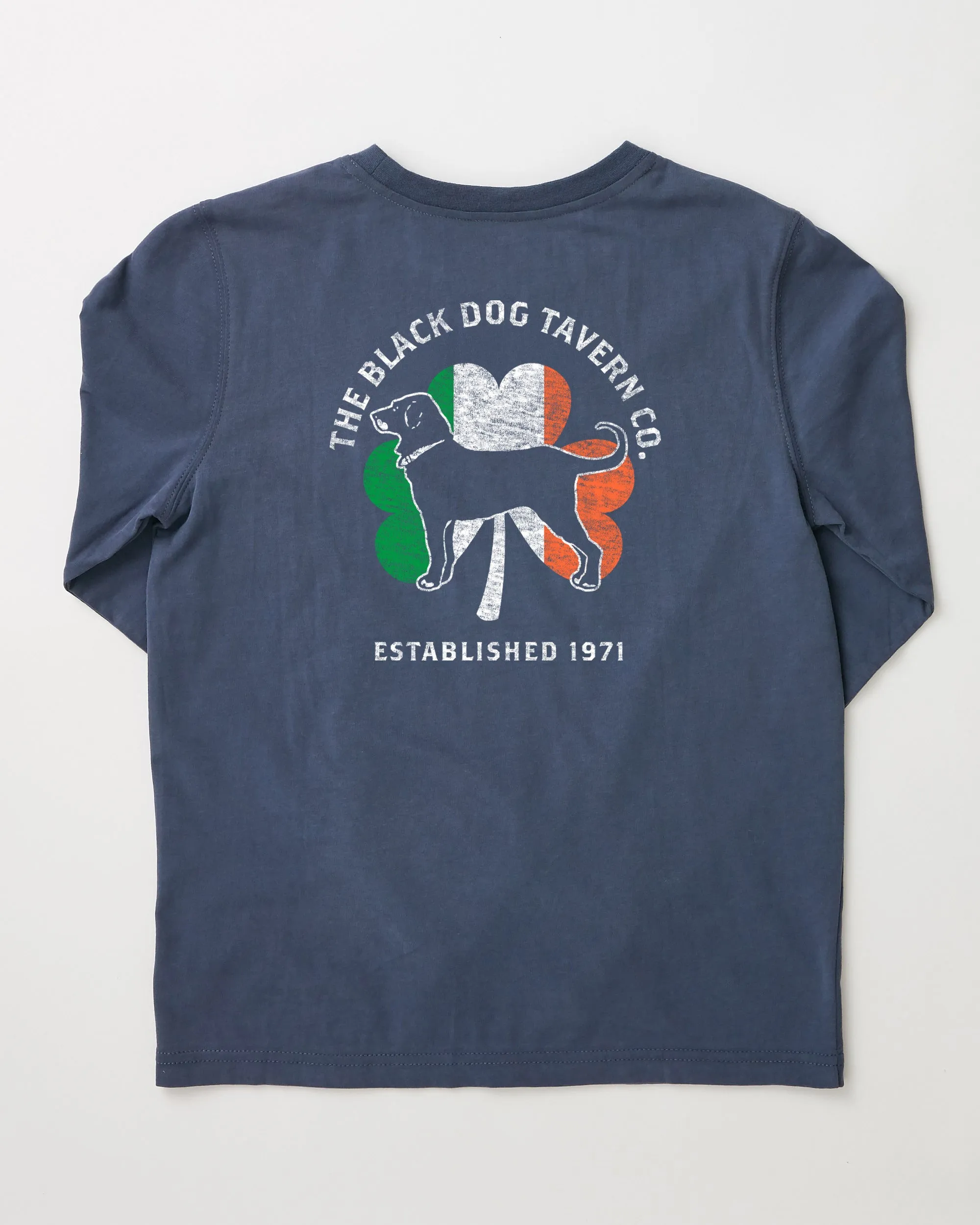 Kids Shamrock Flag Longsleeve Tee